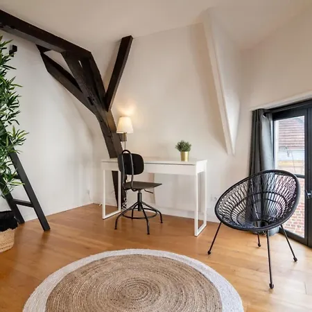 Unique 3 Bed House In Old Lille!